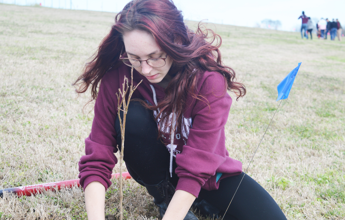 Arbor Day 2020